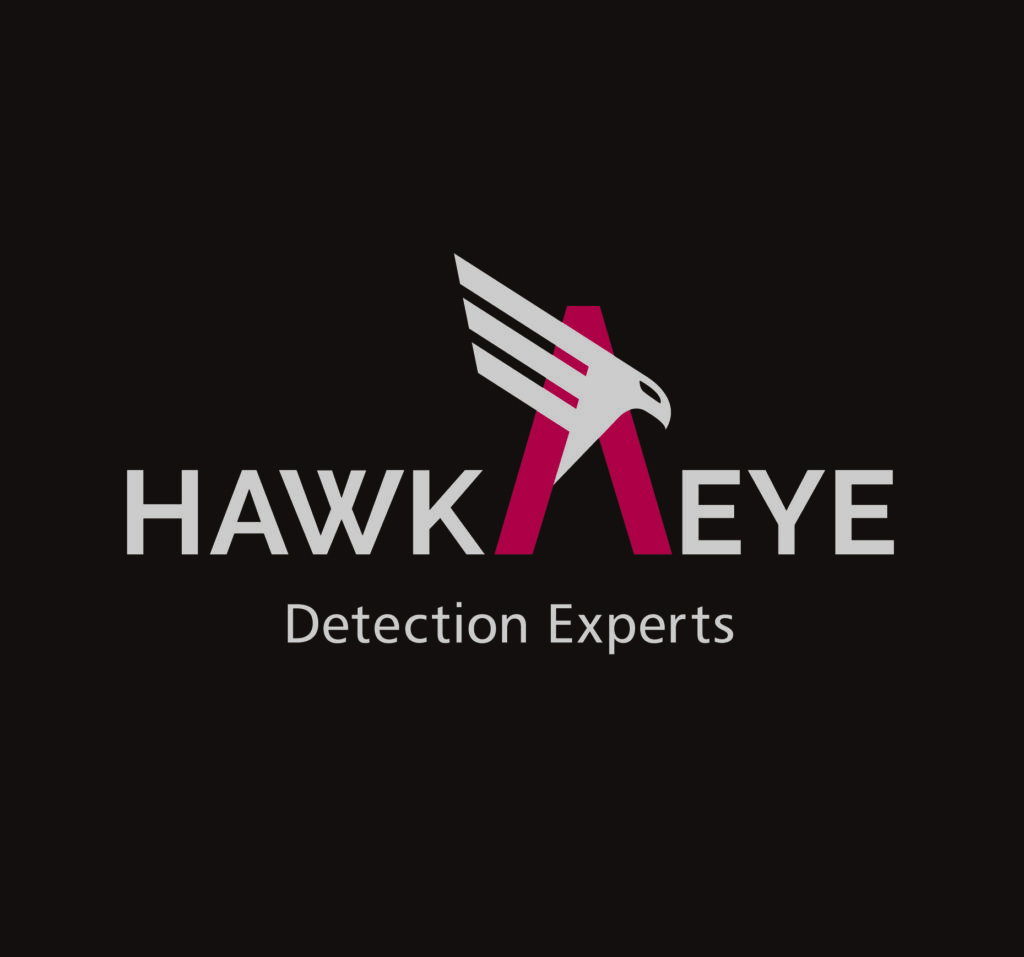 HAWKAEYE logo