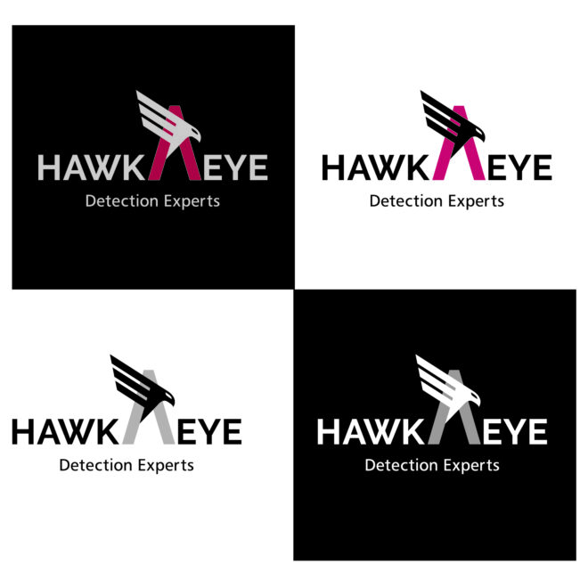 HAWKAEYE logo02
